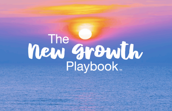 The New Growth Playbook ... Unlocking the new growth engines that ...